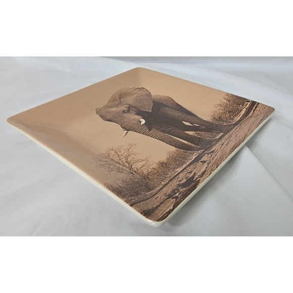 Dario Farrucci Designs 8" Square Salad Plate Elephant Sepia Photo Africa Safari - Picture 3 of 5